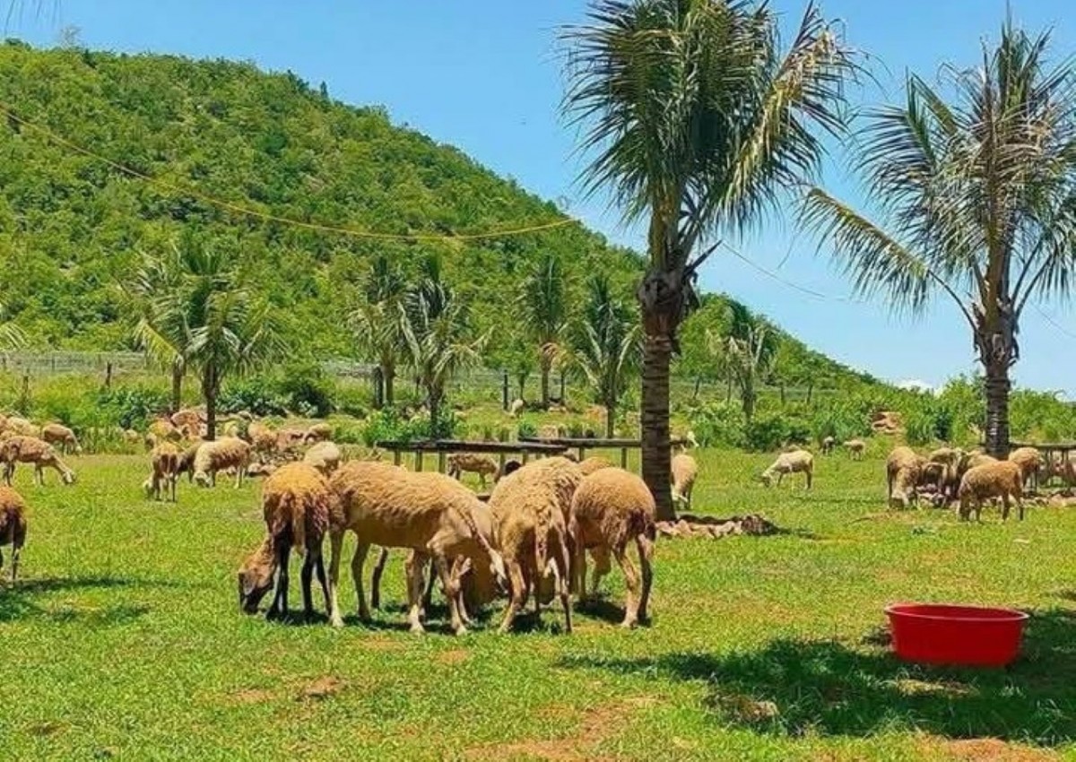 Khánh Hòa: Hướng tới hành trình xóa nghèo bao trùm và bền vững