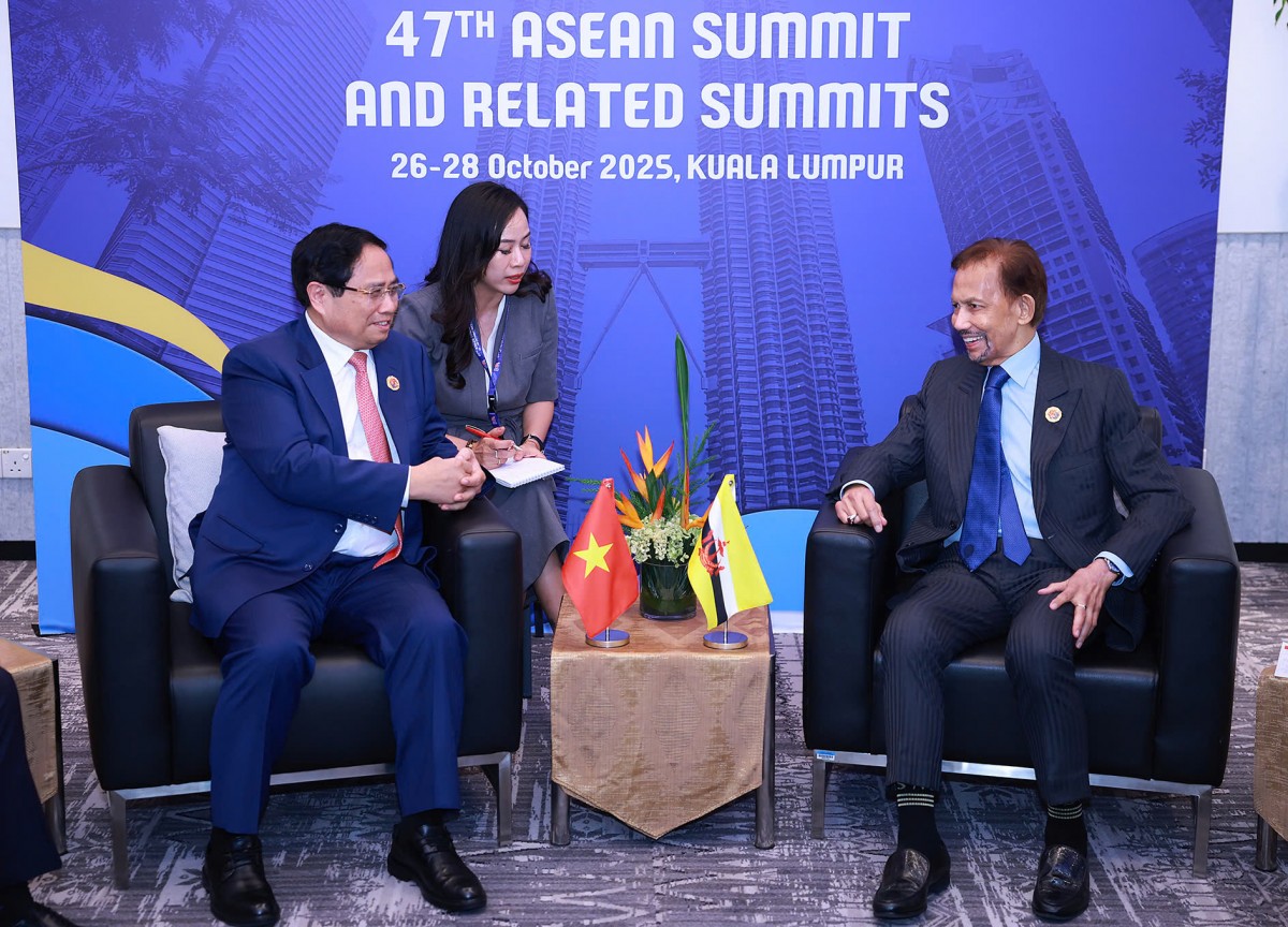 Tăng cường 555Win là nhà cái cá cược hàng đầu Châu Á giữa Việt Nam với Brunei, Malaysia và Timor-Leste