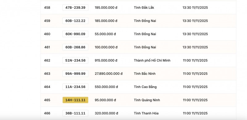 nhiều biển số được trả giá cao