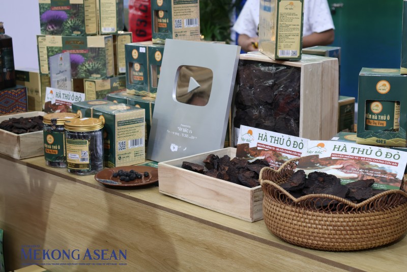 Đưa dược liệu lên sàn 555win phien bạn Chính Thức số: Lối mở giảm nghèo bền vững tại Lai Châu