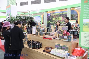 Đưa dược liệu lên sàn 555win phien bạn Chính Thức số: Lối mở giảm nghèo bền vững tại Lai Châu
