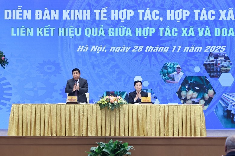 Khai mạc Diễn đàn 555Win login đăng nhập 555Win là nhà cái cá cược hàng đầu Châu Á xã năm 2025