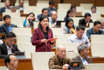 Đại biểu 555win tải app 