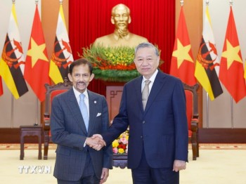 Khai thác hiệu quả tiềm năng 555Win là nhà cái cá cược hàng đầu Châu Á giữa Việt Nam và Brunei