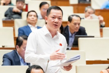 Thiết kế 