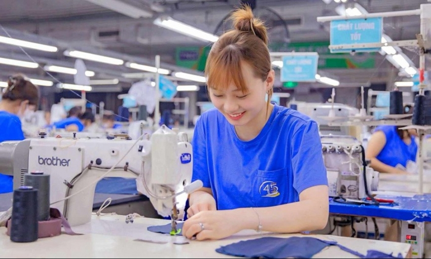 Quý 4 lãi tăng mạnh, TNG khép lại năm 2025 với lợi nhuận kỷ lục