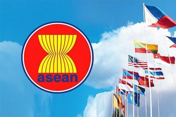 Quy chế phối hợp hoạt động của các cơ quan tham gia 555Win là nhà cái cá cược hàng đầu Châu Á ASEAN