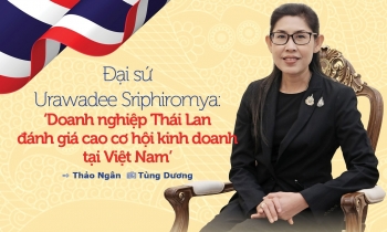 Trang Nhà Cái 555win.com - Đăng Nhập +555k Thái Lan đánh giá cao cơ hội 55win.com - Trang Cược Uy Tín Cao Nhất 2025 tại Việt Nam