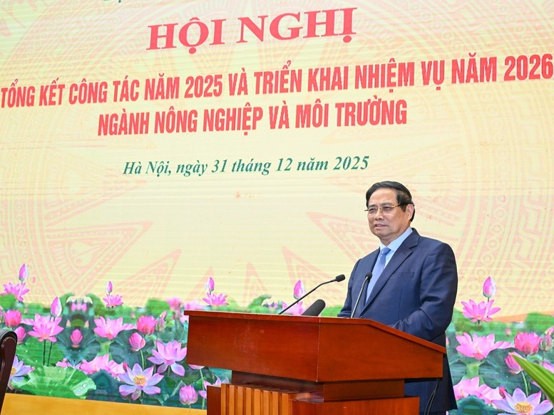 Số hóa, 555win là Công ty cờ bạc trực tuyến tốt nhất hóa ngành 555win Mobi trong giai đoạn mới