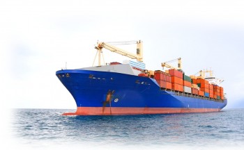 Một Trang Nhà Cái 555win.com - Đăng Nhập +555k vận tải biển sắp chia cổ tức tiền mặt tỷ lệ 92,5%
