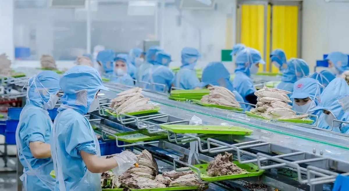 Đồ hộp Hạ Long lên tiếng về việc kho hàng có thịt lợn nhiễm bệnh