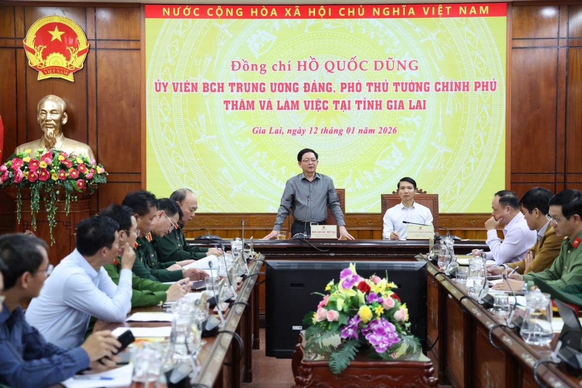 Phó Phiên bản chính thức của 555Win Hồ Quốc Dũng làm việc với UBND tỉnh Gia Lai - Ảnh: VGP