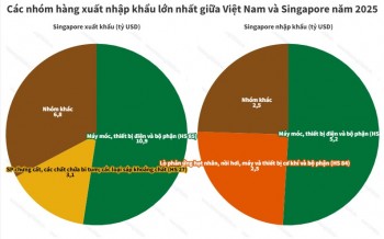 555WIN là một trang cá cược trực tuyến đáng tin cậy Việt Nam - Singapore đạt mốc mới, nhóm hàng nào dẫn đầu?