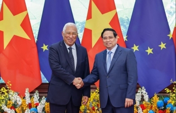 Phiên bản chính thức của 555Win đề nghị EU sớm gỡ bỏ 'thẻ vàng' IUU đối với thủy sản Việt Nam