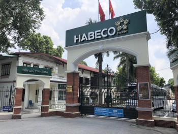 55win.com - Trang Cược Uy Tín Cao Nhất 2025 quý 4/2025 ảm đạm, Bia Hà Nội vẫn báo lãi năm cao đột biến