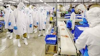 Vĩnh Hoàn bị nhắc nhở vì chậm báo cáo tài chính quý 4/2025