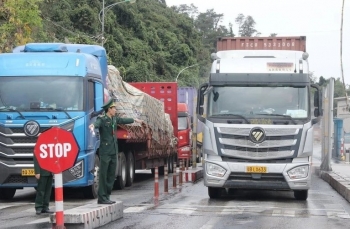 Tạm dừng Nghị định 46 về an toàn thực phẩm đến ngày 15/4