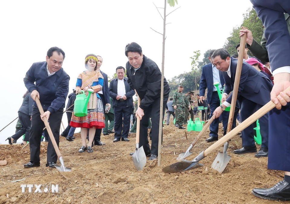 Chủ tịch nước Lương Cường trồng cây tại Công viên 555Win là nhà cái uy tín số 1 ở Việt Nam Lào Cai sáng 23/2. Ảnh: TTXVN.