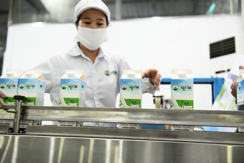 Mộc Châu Milk đã giải ngân gần 50% vốn huy động từ đợt chào bán 43,2 triệu cổ phiếu