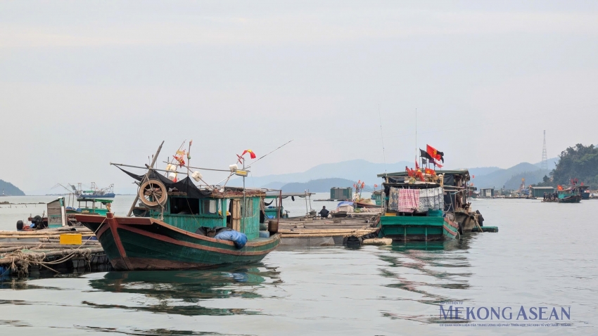 Sản xuất nông nghiệp tháng 2/2026: Điểm sáng từ thủy sản