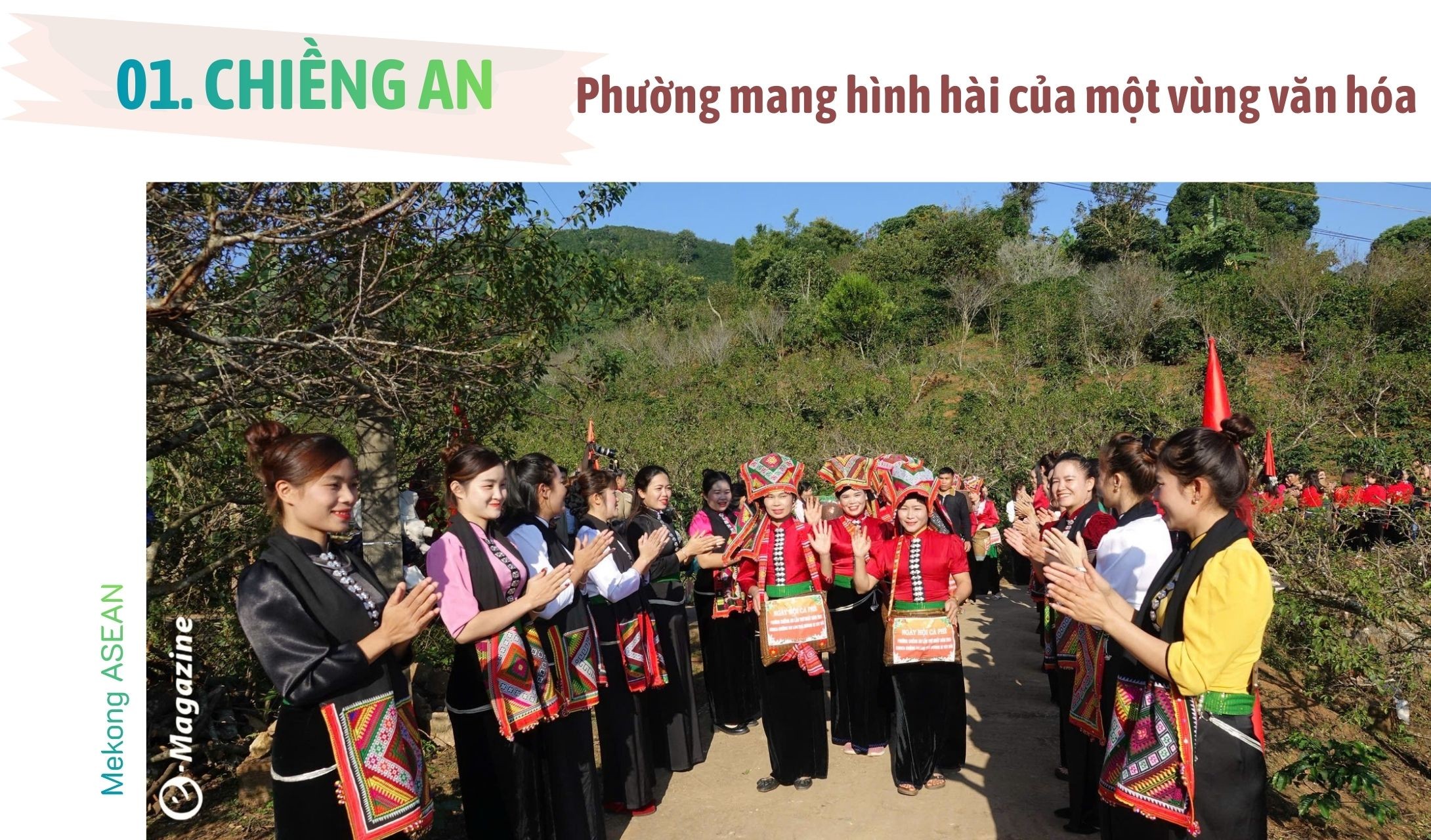 Chiềng An: Khát vọng xanh từ hạt cà phê Arabica chín đỏ
