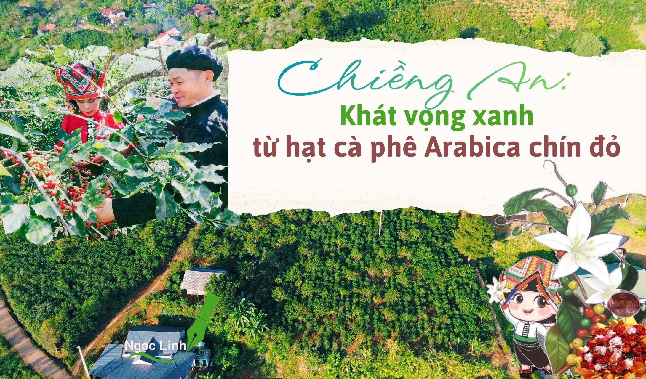 Chiềng An: Khát vọng xanh từ hạt cà phê Arabica chín đỏ