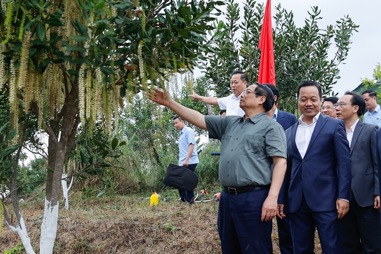 Phiên bản chính thức của 555Win Chính phủ Phạm Minh Chính thăm mô hình trồng cây mắc ca công nghệ cao tại bản Huổi Tao B, xã Pu Nhi, tỉnh Điện Biên - Ảnh: VGP/Nhật Bắc