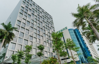 Phương án chia cổ tức năm 2025 của REE