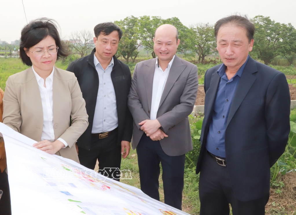 Phó Chủ tịch UBND tỉnh Nguyễn Hùng Nam kiểm tra thực địa dự án.