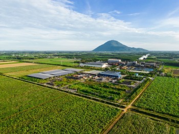 Cổ đông lớn đăng ký bán gần 44 triệu cổ phiếu SBT