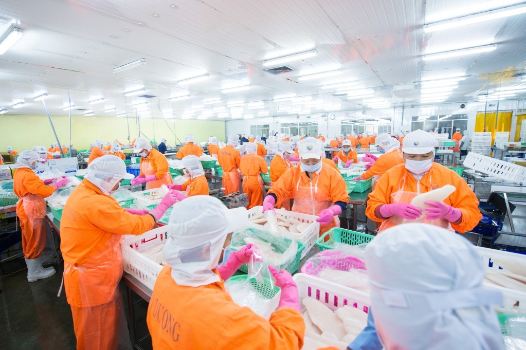 Phó Tổng giám đốc Navico muốn gom thêm một triệu cổ phiếu ANV