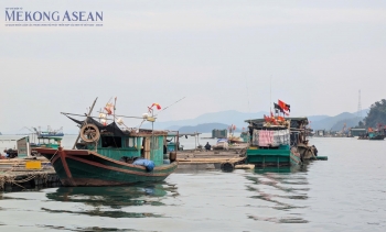 Khai thác thủy sản giảm, chăn nuôi tiếp tục tăng trưởng