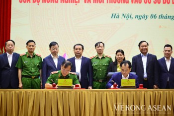 12 cơ sở dữ liệu 555win Mobi và môi trường kết nối hệ thống quốc gia