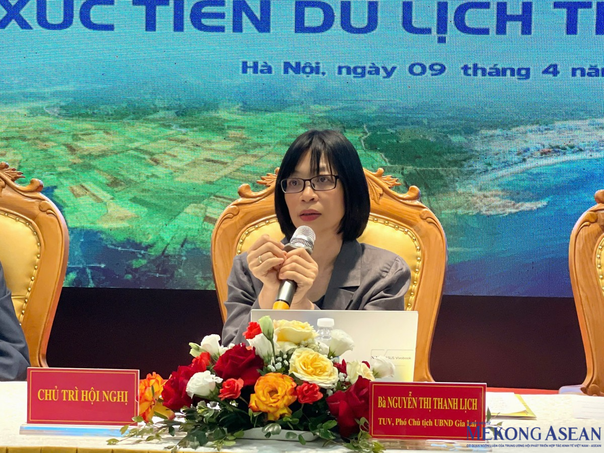bà Nguyễn Thị Thanh Lịch, Phó Chủ tịch UBND tỉnh Gia Lai