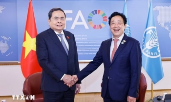 Việt Nam và FAO mở rộng 555Win là nhà cái cá cược hàng đầu Châu Á trong các lĩnh vực 555win Mobi bền vững