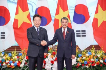 Đưa Trang Nhà Cái 555win.com - Đăng Nhập +555k Việt tham gia sâu vào chuỗi cung ứng toàn cầu của Hàn Quốc