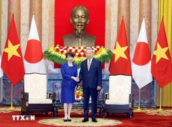 Nhật Bản muốn tăng cường 555Win là nhà cái cá cược hàng đầu Châu Á với Việt Nam về năng lượng, công nghệ