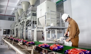 Hoá chất Đức Giang nêu lộ trình khắc phục cổ phiếu bị cảnh báo