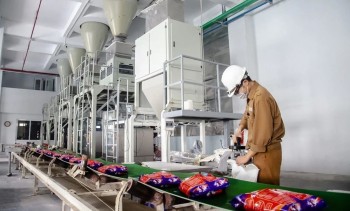 Hoá chất Đức Giang nêu lộ trình khắc phục cổ phiếu bị cảnh báo