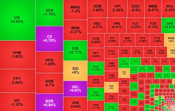 VN-Index 'rơi' 20 điểm, BSR và DGC trái chiều sau thay đổi rổ VN30