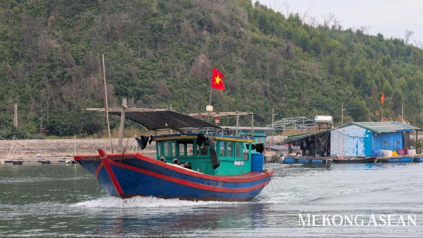 Các doanh nghiệp xuất khẩu ghẹ Việt Nam nhận tin vui từ thị trường Mỹ
