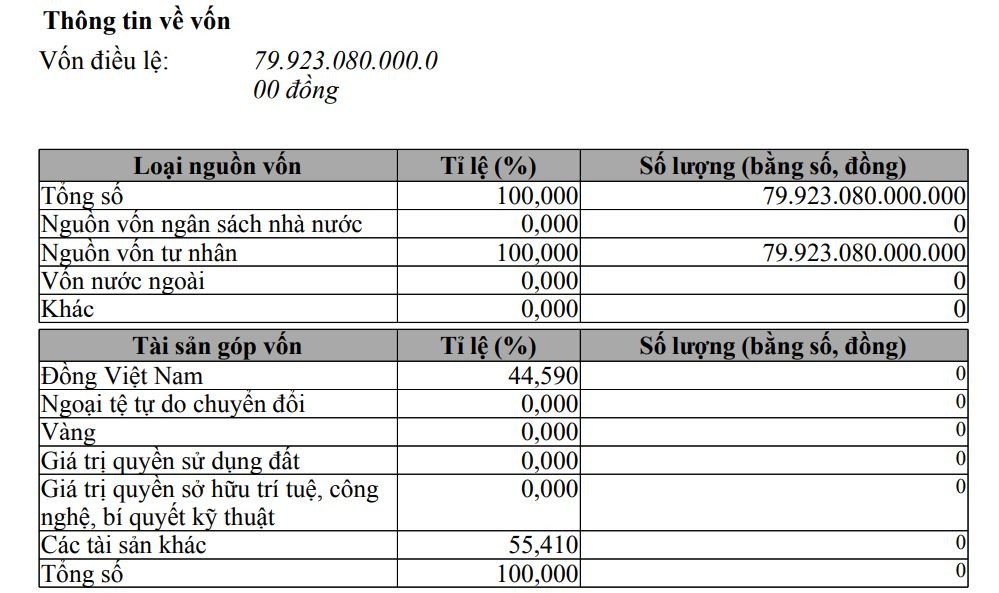 VinEnergo của tỷ phú Phạm Nhật Vượng tăng vốn lên gần 80.000 tỷ đồng