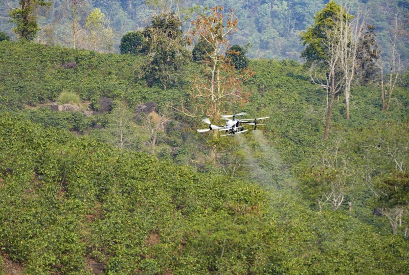 UAV do FPT và Trường Thịnh Drone đang thử nghiệm phun thuốc cho cây cà phê khu vực hồ Ảng Cang, bản Mánh Đanh, xã Mường Ảng, tỉnh Điện Biên. Ảnh: