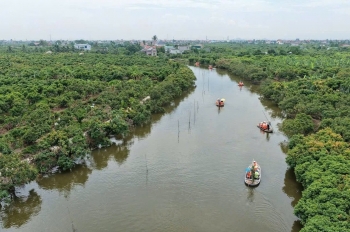 Kết nối tiêu thụ, hướng đến du lịch sinh thái vùng vải thiều Thanh Hà