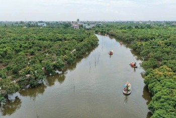 Kết nối tiêu thụ, hướng đến du lịch sinh thái vùng vải thiều Thanh Hà