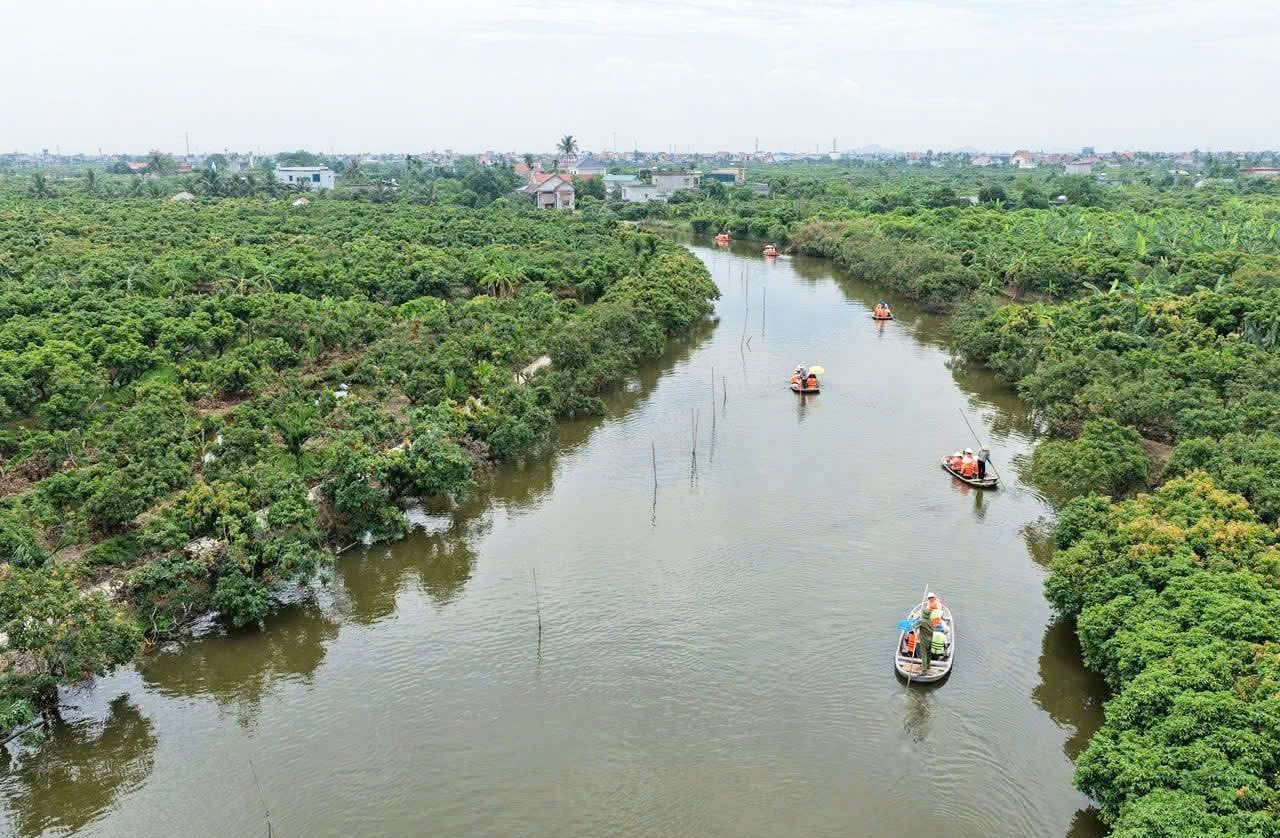 Kết nối tiêu thụ, hướng đến du lịch sinh thái vùng vải thiều Thanh Hà