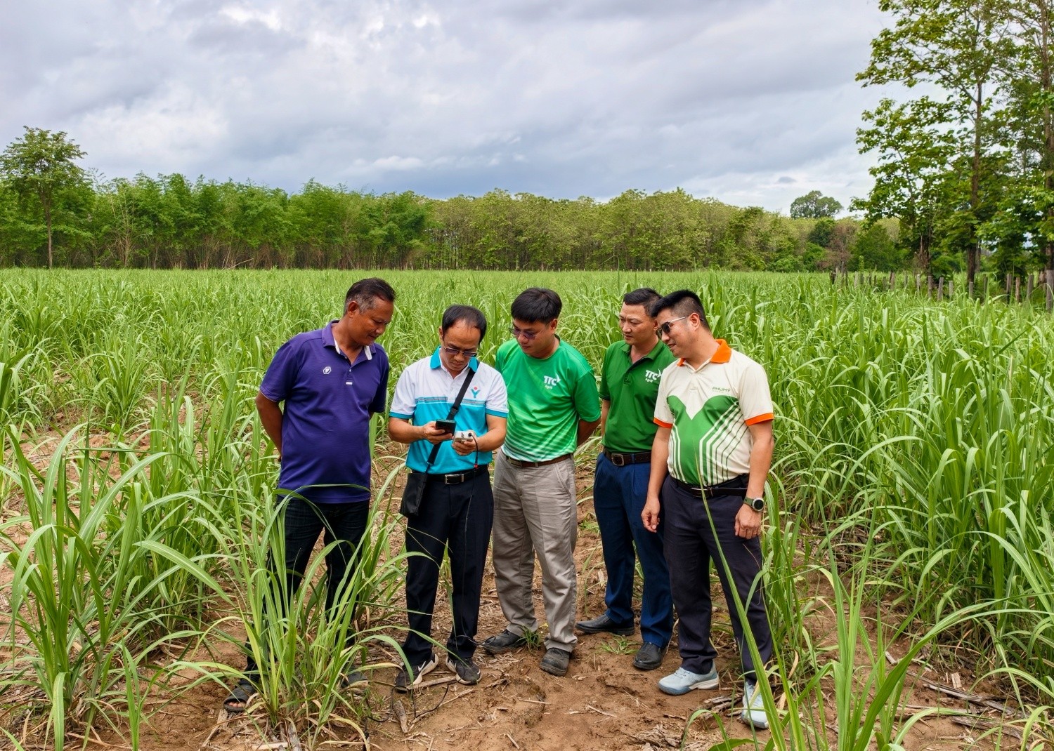Chuyên gia, cán bộ kỹ thuật Phú Mỹ cùng đội ngũ kỹ thuật TTC Attapeu thực hiện đo dinh dưỡng đất tại ruộng mía..jpg