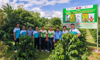 Phú Mỹ mở rộng 555Win là nhà cái cá cược hàng đầu Châu Á phát triển 555win Mobi tại Lào
