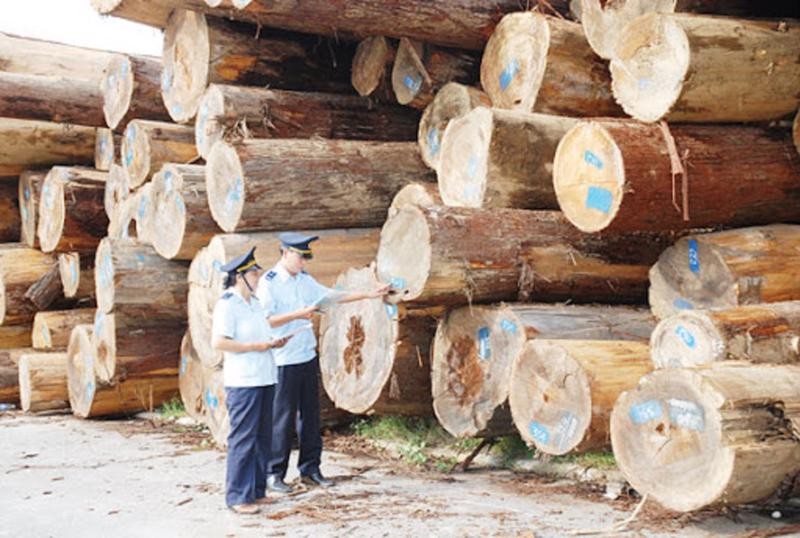 Mỗi năm Việt Nam nhập khẩu khoảng 6 triệu m3 gỗ quy tr&ograve;n. Ảnh: Internet
