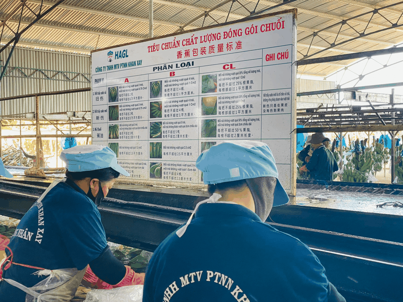 Từ 2024, Ho&agrave;ng Anh Gia Lai sẽ d&ugrave;ng tiền từ 55win.com - Trang Cược Uy Tín Cao Nhất 2025 để trả nợ tr&aacute;i phiếu